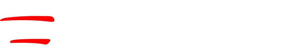 BER Transport Logo